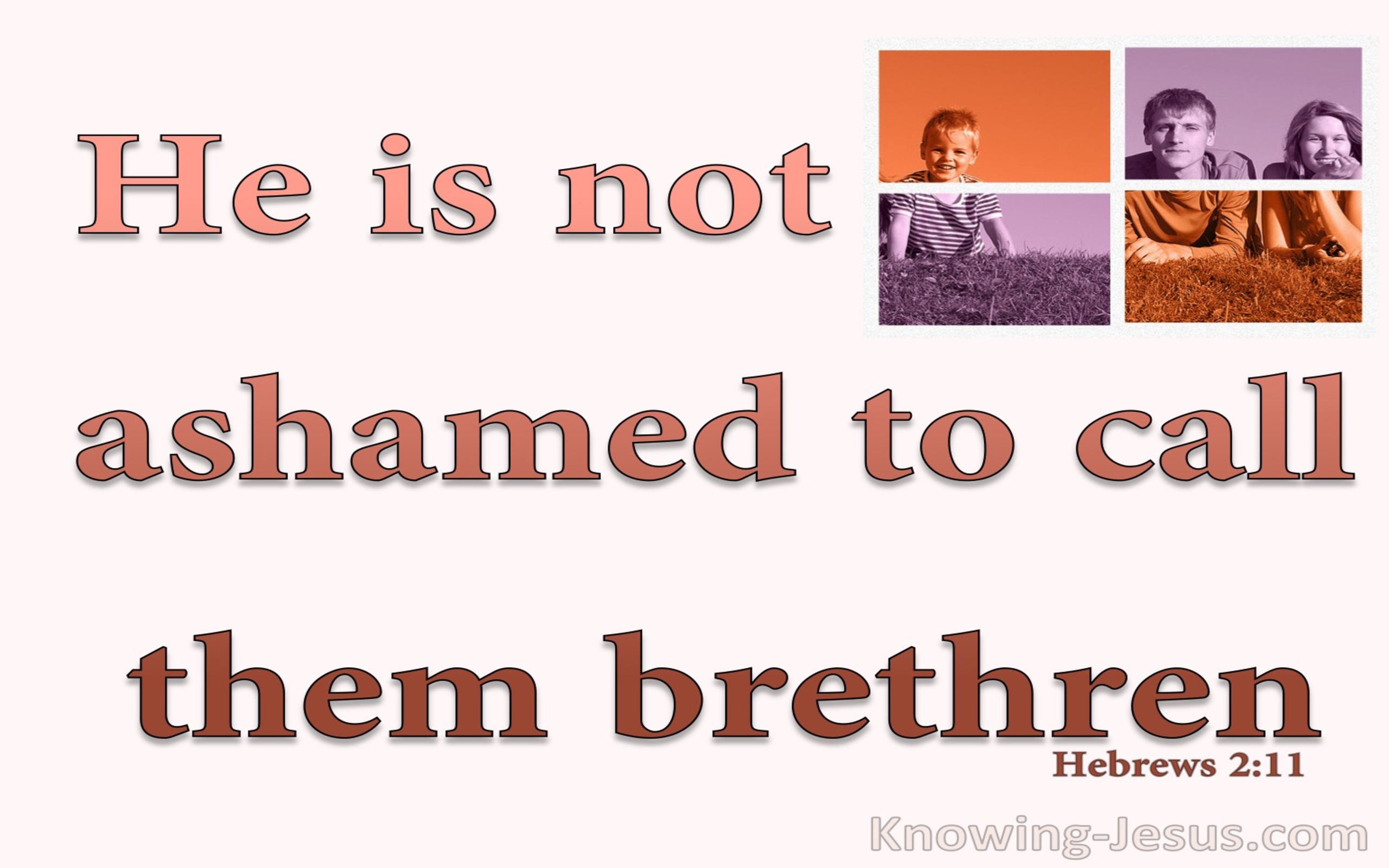 Hebrews 2:11 Not Ashamed To Call Them Brethren (orange) 